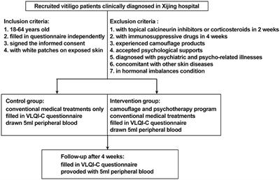 The Efficacy and Psychoneuroimmunology Mechanism of Camouflage Combined With Psychotherapy in Vitiligo Treatment